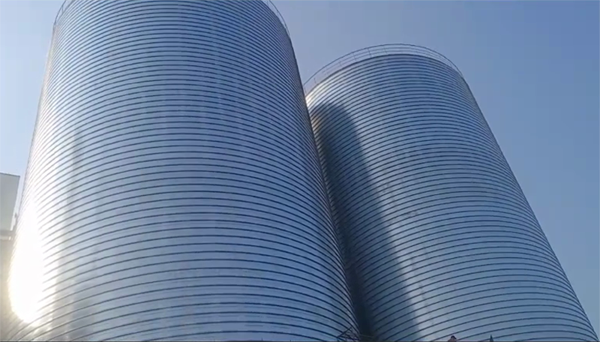 安次2座混凝土高架卷板仓